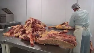 Фальсификация продукции предназначенной для нужд школьных и дошкольных учреждений