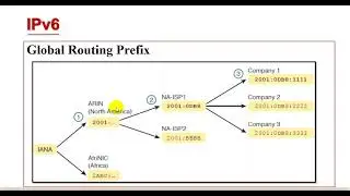 5 IPv6 Assigned IANA