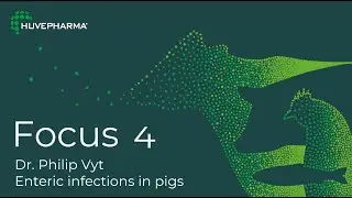 Focus 4 - Diagnosis of enteric infections in pigs