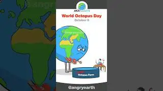 World Octopus Day - October 8 