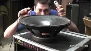 15 Inch RCF Pro Subwoofer Vs. 120 Volts