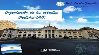 ORGANIZAÇÃO DOS ESTUDOS.