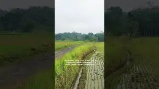 Seseorang yang luar biasa itu sederhana dalam ucapannya, tetapi hebat dalam tindakannya