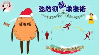 左思右想？腦緣不會！解讀面臨危險時的瞬間反應 l 傑西麥卡卡