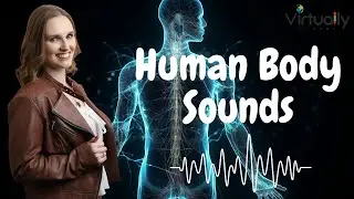 Human Body Sounds (B1.2+ Intermediate English Level)
