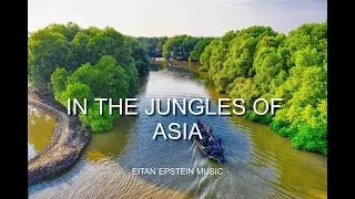 IN THE JUNGLES OF ASIA/Eastern Ethnic Oriental Tribal  Relaxing Instrumental Background World Music