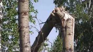 Продолжение темы 