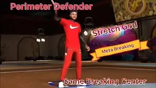 I BROUGHT MY PERIMETER DEFENDER TO STAGE AND BROKE THE META! INSANE POPPER!