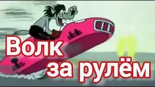 Волк из Ну Погоди за рулём