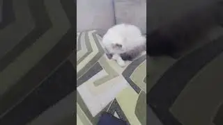 на утро крошечная доза сна😻