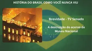 Brevidade - A destruição do acervo do Museu Nacional