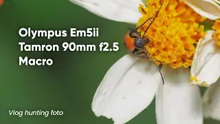 Vlog hunting foto macro | Olympus EM5ii | Tamron 90mm F2.5 MACRO