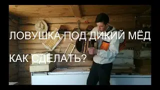 НЕОБЫЧНАЯ ЛОВУШКА ДЛЯ ПЧЁЛ  / РОЙ НЕ ПРОЙДЁТ МИМО!