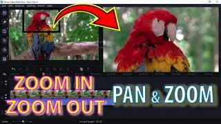 How To Zoom In and Out in Movavi Video Editor Plus | Pan And Zoom | Movavi Tutorial | Xstream Wave