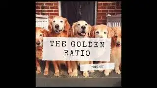 Episode 369: Chicken Eyes