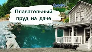 Бюджетный Плавательный пруд на даче