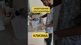 КЛИЗМА 😂😳 ЗАВЕРШЕНИЕ ПАНЧАКАРМЫ.. #центрярай #панчакарма #путтапарти #индия