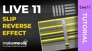 Slip Reverse Effect in Ableton 11🕴