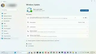 Como actualizaciones de Windows tan pronto como estén disponibles para el dispositivo
