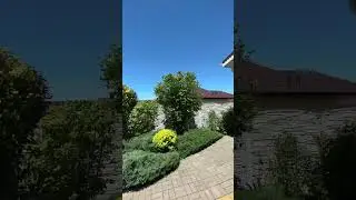 Подстригли можжевельники и кустарники.