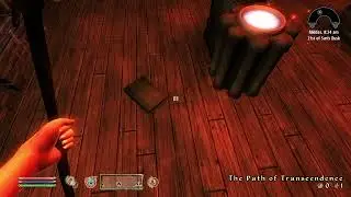 The Path of Transcendence