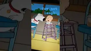 did you laugh