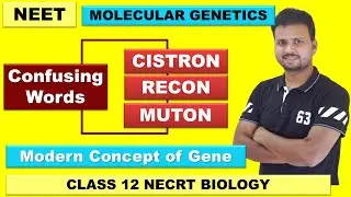 CISTRON | RECON | MUTON | Concept of Gene | Genetics Class 12 | Molecular Biology | NEET 2023
