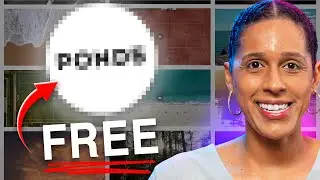 I Built a MASSIVE Royalty-Free Stock Video Library for FREE and You Can Too!