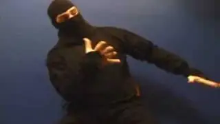 Ask A Ninja - Question 15 