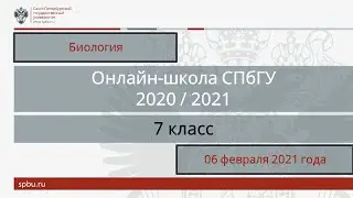 Онлайн-школа СПбГУ 2020/2021. 7 класс. Биология. 06 февраля 2021