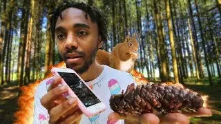 Making A Beat From Nature