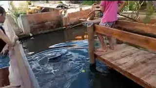 PURA EMOÇÃO NESSA PESCARIA DE PIRARUCU.