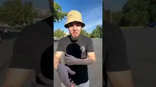 ВЕНГАЛБИ И ТАМАЕВ ДОГОВОРИЛИСЬ О ГОНКЕ
