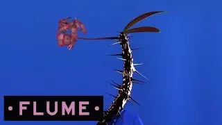 Flume - Enough feat. Pusha T