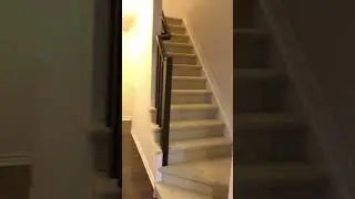IMG 1410