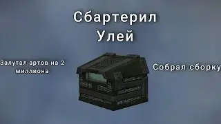Собрал сборку за 5+ миллионов, сделал Улей, нашёл артов на 2кк в STALCRAFT X