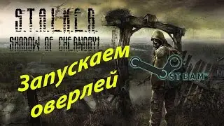 Запускаем оверлей в СТИМ в STALKER Тень Чернобыля