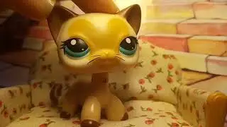 Я ВЕРНУЛАСЬ!!!||ЛПС