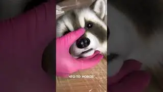 Меня зовут Катя Лейт и вы легко найдете ссылку в других соц сетях)