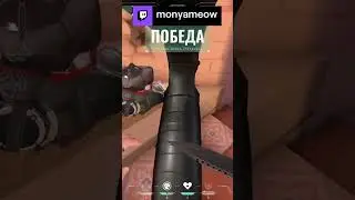 ВЕСЬ ЭКРАН В ЖИДКОСТИ | monyameow с помощью #Twitch
