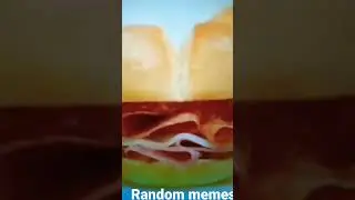 Random memes