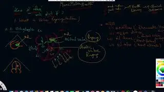 ^MuniMeter®Health - #A86 Valve Mein Leaks Kyon Hotey Hein? (Hindi) #JaitlyMD
