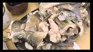 Познавательный видеословарь рыбака 3