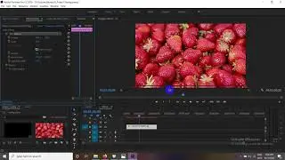 Learn the PREMIERE PRO CC BASICS in 18 MINUTES! Tutorial for beginners
