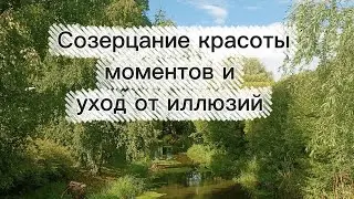 Созерцание красоты моментов / Уход от иллюзий 