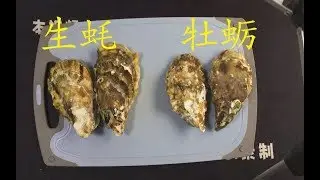 【生蚝】和【牡蛎】到底有什么区别？生蚝98元两斤，牡蛎10元两斤，两者的差距真的那么大？ ｜全靠一双手