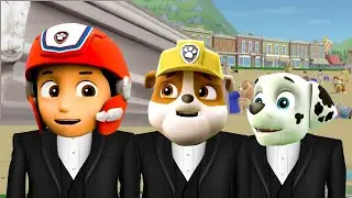 PAW Patrol Rubble and the Pups - Coffin Dance Megaremix (COVER)