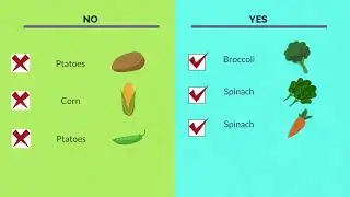 The Fertile Chick. 2D animation Explainer video