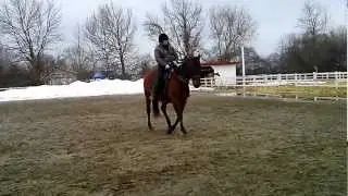 Cession à la jambe sans étrier