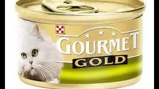 Клички для кошек девочек_Рейтинг кошек